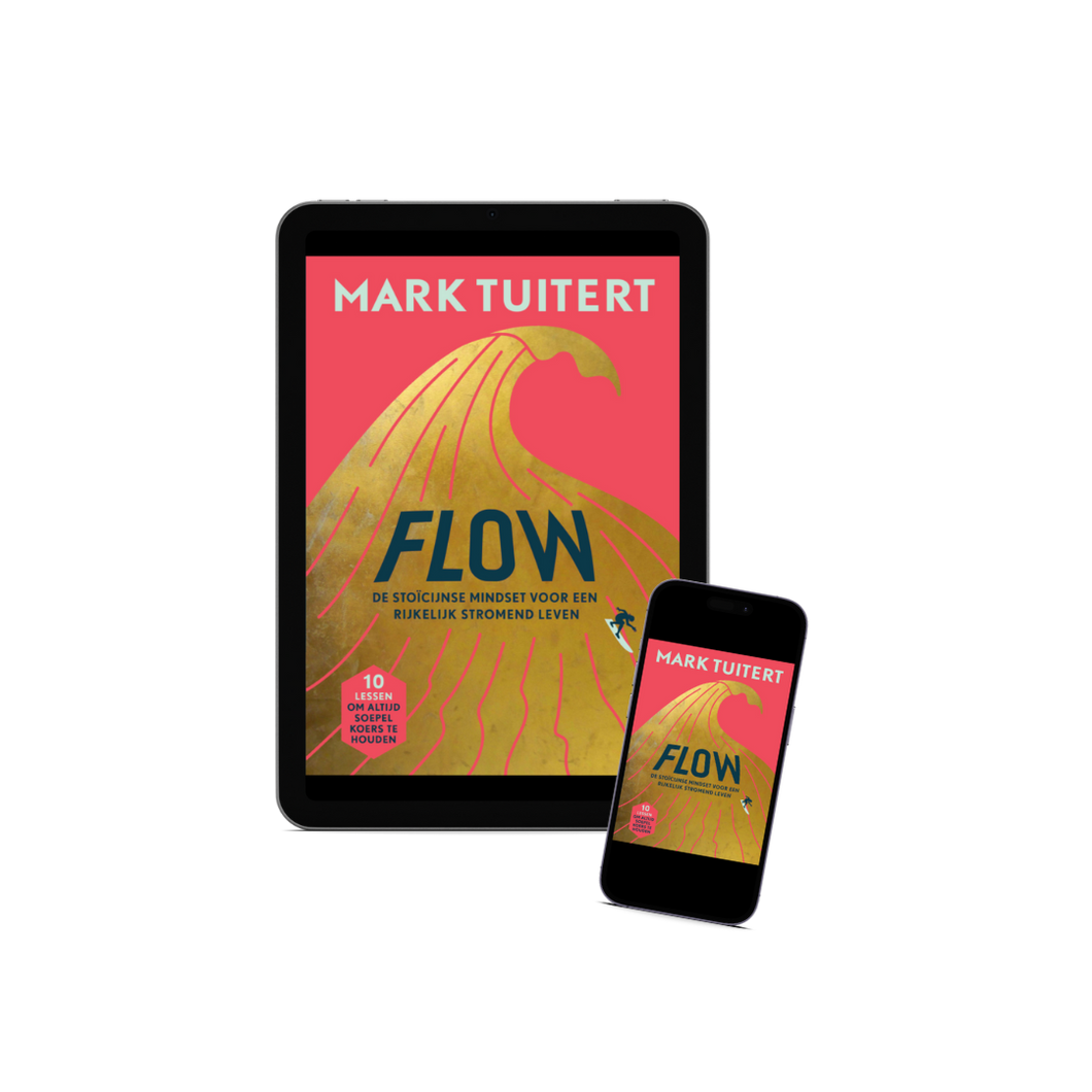 E-book FLOW: De stoïcijnse mindset voor een rijkelijk stromend leven